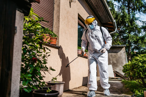 Best Wasp Removal Services  in New Rochelle, NY