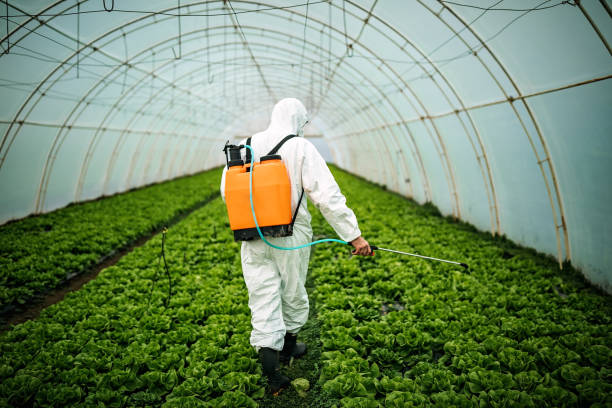 Best Affordable Pest Control Services  in New Rochelle, NY