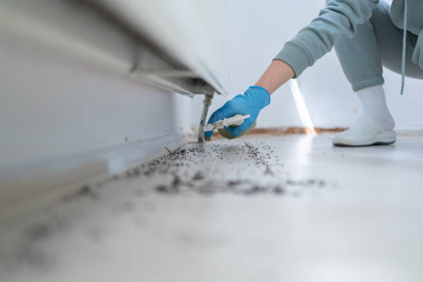 Best Best Pest Control Companies  in New Rochelle, NY
